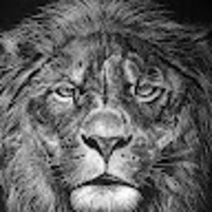 Meet your Posher, Frederick